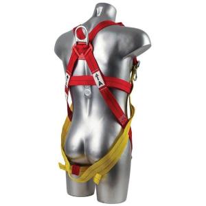 Imbracatura 3 punti Plus - immagine 2